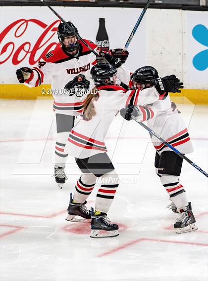 Thumbnail 1 in Austin Prep vs Wellesley (MAA Division 2 State Final) photogallery.