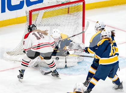 Thumbnail 1 in Austin Prep vs Wellesley (MAA Division 2 State Final) photogallery.