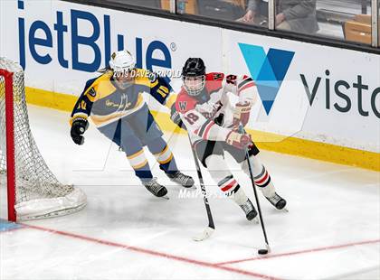 Thumbnail 1 in Austin Prep vs Wellesley (MAA Division 2 State Final) photogallery.