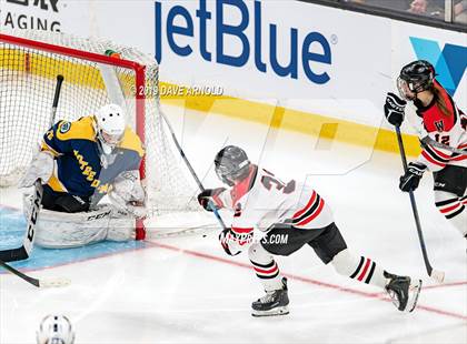 Thumbnail 1 in Austin Prep vs Wellesley (MAA Division 2 State Final) photogallery.