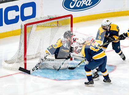 Thumbnail 2 in Austin Prep vs Wellesley (MAA Division 2 State Final) photogallery.