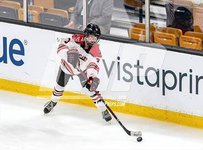 Thumbnail 1 in Austin Prep vs Wellesley (MAA Division 2 State Final) photogallery.