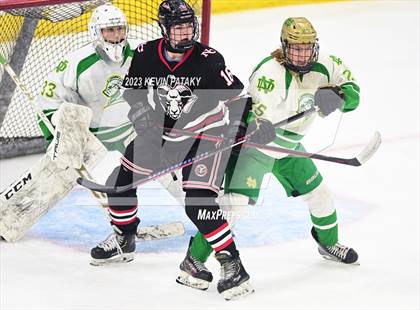 Thumbnail 2 in New Canaan vs. Notre Dame, WH (CIAC DI Semifinal) photogallery.