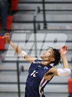 Photo from the gallery "Cherokee Trail @ Eaglecrest"
