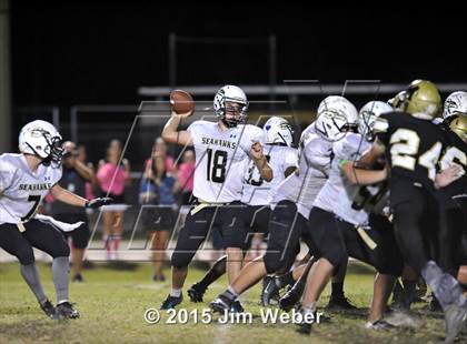Thumbnail 3 in Sunlake @ Mitchell photogallery.