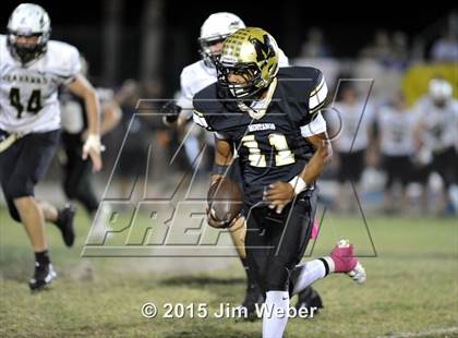 Thumbnail 3 in Sunlake @ Mitchell photogallery.