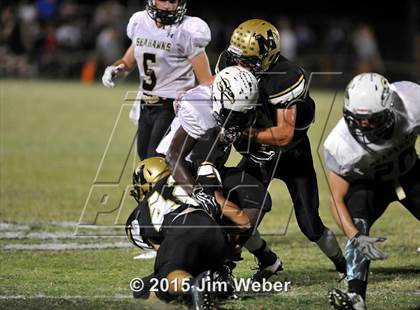 Thumbnail 1 in Sunlake @ Mitchell photogallery.