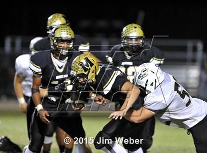 Thumbnail 3 in Sunlake @ Mitchell photogallery.