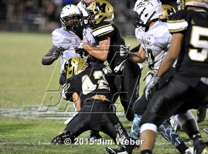Thumbnail 2 in Sunlake @ Mitchell photogallery.