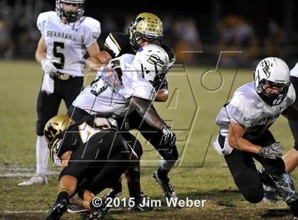 Thumbnail 3 in Sunlake @ Mitchell photogallery.