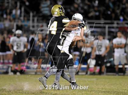 Thumbnail 3 in Sunlake @ Mitchell photogallery.