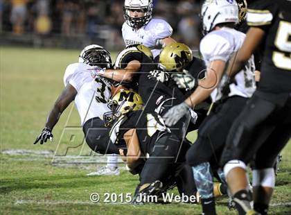 Thumbnail 1 in Sunlake @ Mitchell photogallery.