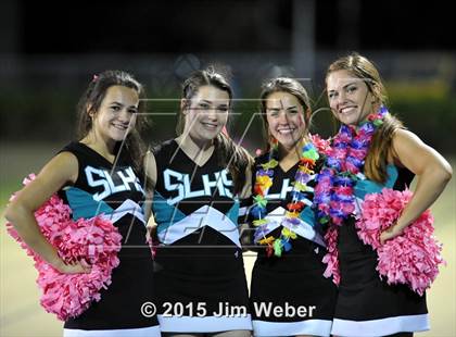 Thumbnail 3 in Sunlake @ Mitchell photogallery.