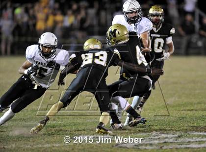 Thumbnail 2 in Sunlake @ Mitchell photogallery.