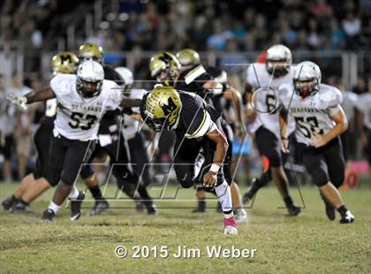 Thumbnail 2 in Sunlake @ Mitchell photogallery.