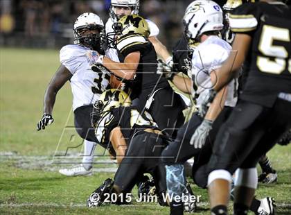 Thumbnail 3 in Sunlake @ Mitchell photogallery.