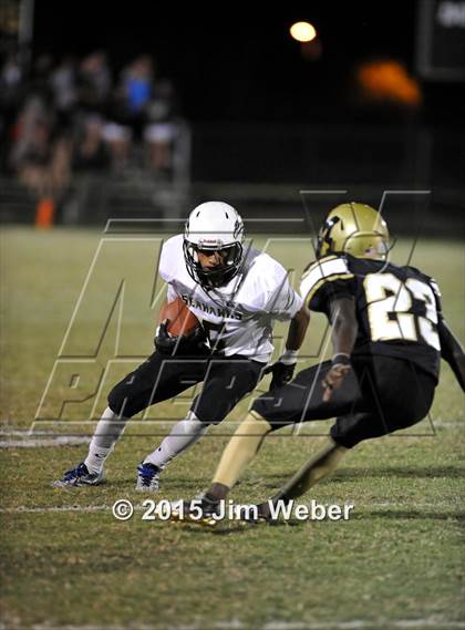 Thumbnail 3 in Sunlake @ Mitchell photogallery.