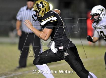 Thumbnail 3 in Sunlake @ Mitchell photogallery.