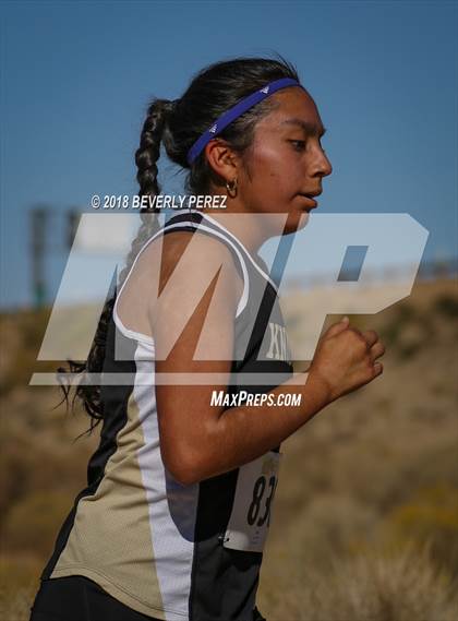 Thumbnail 2 in Golden League Finals photogallery.
