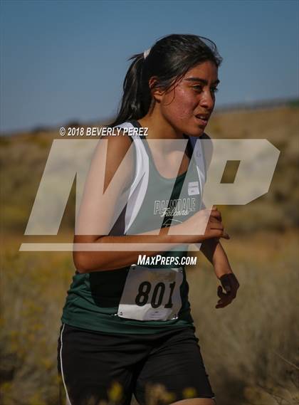 Thumbnail 3 in Golden League Finals photogallery.