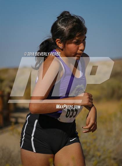 Thumbnail 2 in Golden League Finals photogallery.