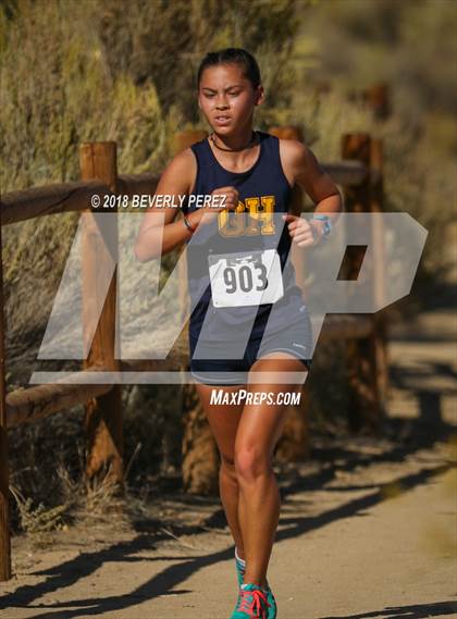 Thumbnail 2 in Golden League Finals photogallery.