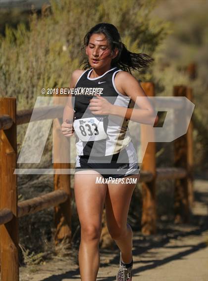 Thumbnail 3 in Golden League Finals photogallery.