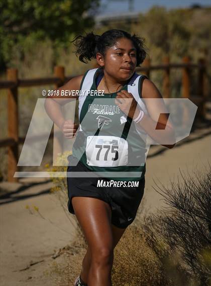 Thumbnail 2 in Golden League Finals photogallery.