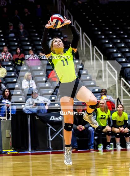 Thumbnail 1 in D'Hanis vs. Blum (UIL 1A Final) photogallery.