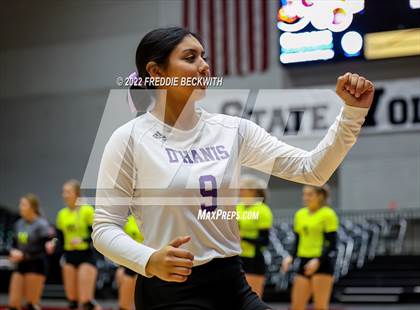 Thumbnail 2 in D'Hanis vs. Blum (UIL 1A Final) photogallery.