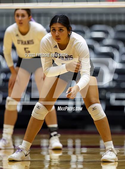 Thumbnail 2 in D'Hanis vs. Blum (UIL 1A Final) photogallery.