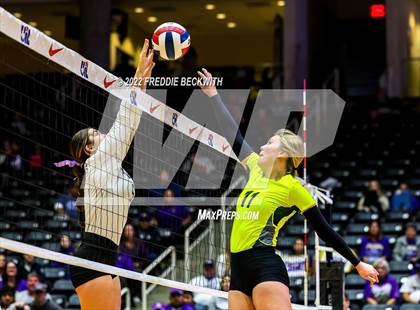 Thumbnail 1 in D'Hanis vs. Blum (UIL 1A Final) photogallery.