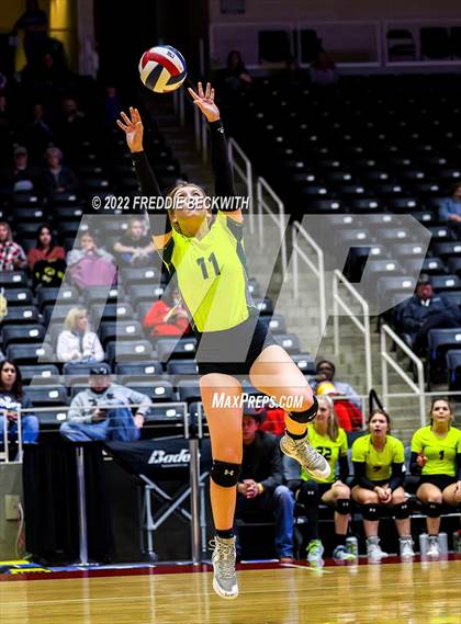 Thumbnail 2 in D'Hanis vs. Blum (UIL 1A Final) photogallery.