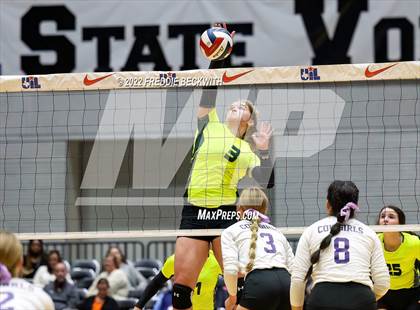 Thumbnail 3 in D'Hanis vs. Blum (UIL 1A Final) photogallery.