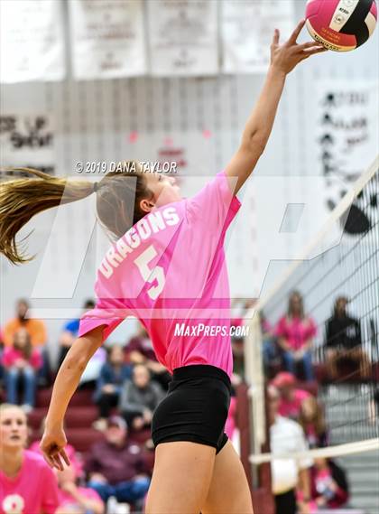 Thumbnail 2 in Chico @ Poolville photogallery.