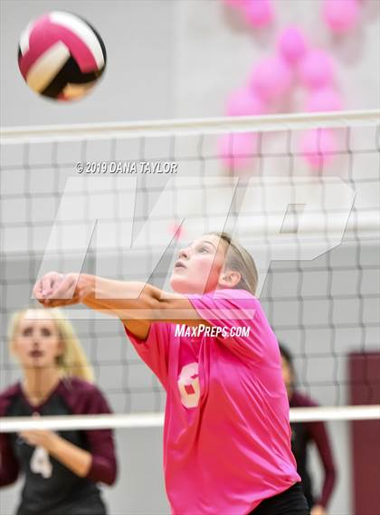 Thumbnail 1 in Chico @ Poolville photogallery.
