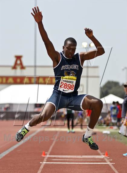 Thumbnail 2 in Arcadia Invitational (Triple Jump) photogallery.