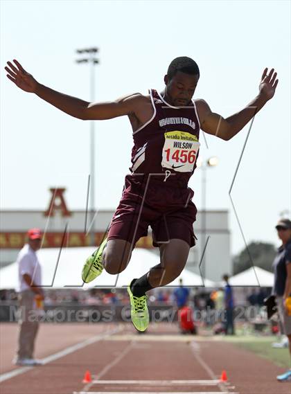 Thumbnail 3 in Arcadia Invitational (Triple Jump) photogallery.