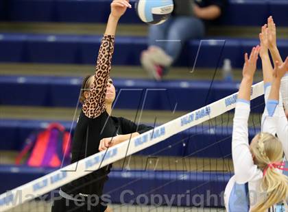 Thumbnail 1 in D'Evelyn @ Valor Christian photogallery.