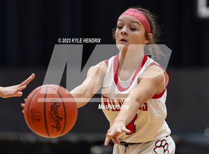 Thumbnail 1 in Dixie Greyhounds Vs Franklin Wildcats photogallery.