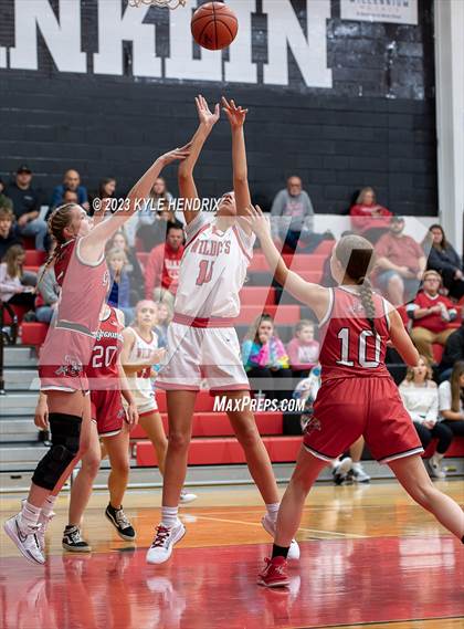 Thumbnail 3 in Dixie Greyhounds Vs Franklin Wildcats photogallery.
