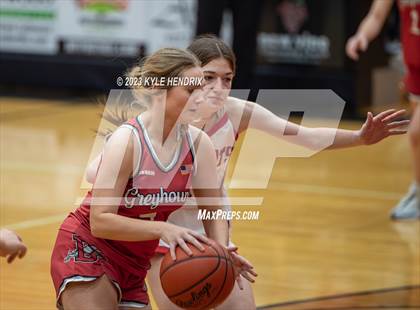 Thumbnail 3 in Dixie Greyhounds Vs Franklin Wildcats photogallery.