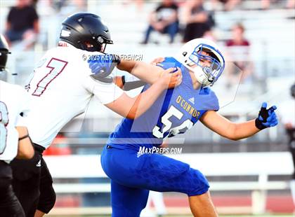 Thumbnail 3 in FR: Red Mountain @ O'Conner photogallery.