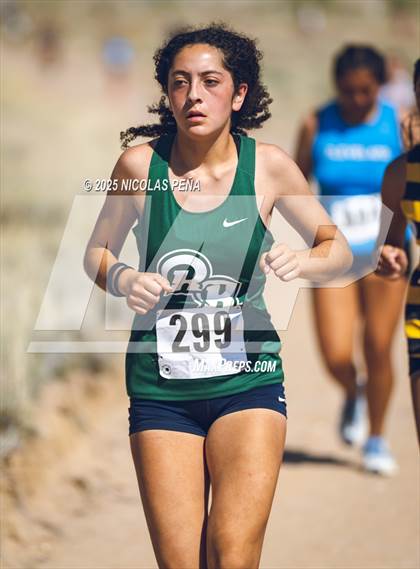 Thumbnail 3 in JV: 2025 APS Metro Championships photogallery.