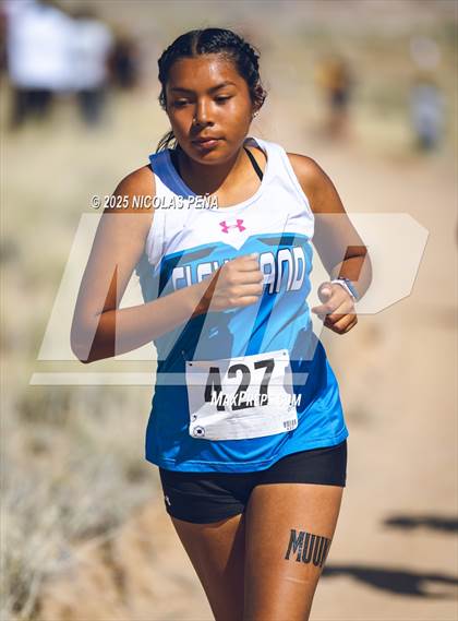 Thumbnail 2 in JV: 2025 APS Metro Championships photogallery.