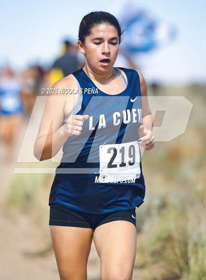 Thumbnail 2 in JV: 2025 APS Metro Championships photogallery.