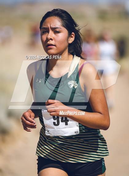 Thumbnail 2 in JV: 2025 APS Metro Championships photogallery.