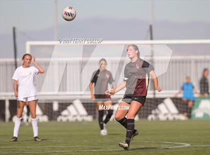 Thumbnail 3 in Lone Peak vs. Davis (UHSAA 6A Final) photogallery.