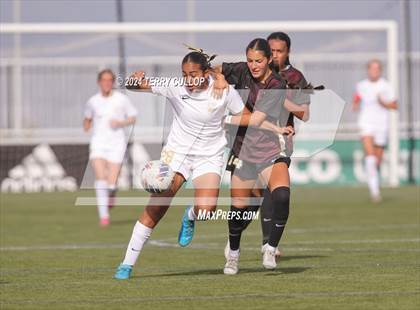Thumbnail 1 in Lone Peak vs. Davis (UHSAA 6A Final) photogallery.