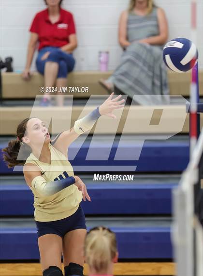Thumbnail 3 in Santo @ Perrin_Whitt photogallery.